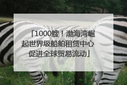1000艘！渤海湾崛起世界级船舶租赁中心 促进全球贸易流动