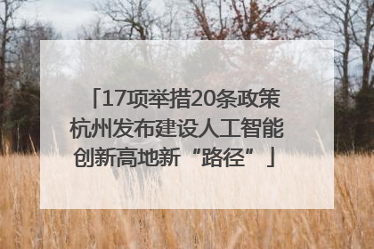 17项举措20条政策 杭州发布建设人工智能创新高地新“路径”