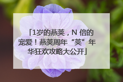 1岁的燕荚，N 倍的宠爱！燕荚周年“荚”年华狂欢攻略大公开