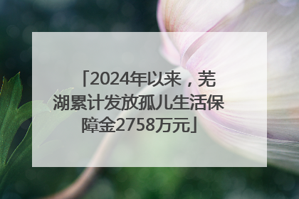2024年以来，芜湖累计发放孤儿生活保障金2758万元