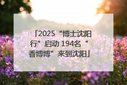 2025“博士沈阳行”启动 194名“香博博”来到沈阳