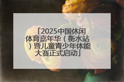 2025中国休闲体育嘉年华（衡水站）暨儿童青少年体能大赛正式启动