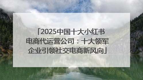 2025中国十大小红书电商代运营公司：十大领军企业引领社交电商新风向