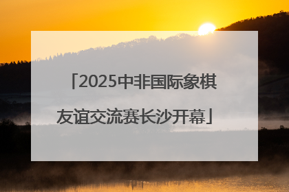 2025中非国际象棋友谊交流赛长沙开幕