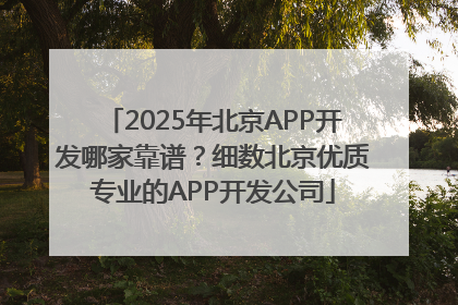 2025年北京APP开发哪家靠谱？细数北京优质专业的APP开发公司