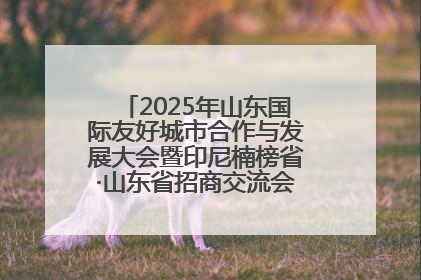 2025年山东国际友好城市合作与发展大会暨印尼楠榜省·山东省招商交流会在济南槐荫举行