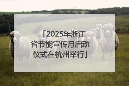 2025年浙江省节能宣传月启动仪式在杭州举行