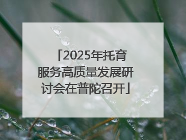 2025年托育服务高质量发展研讨会在普陀召开