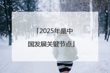 2025年是中国发展关键节点