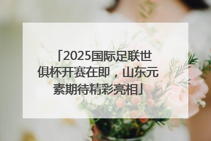 2025国际足联世俱杯开赛在即，山东元素期待精彩亮相