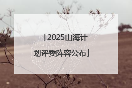 2025山海计划评委阵容公布