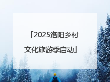 2025洛阳乡村文化旅游季启动