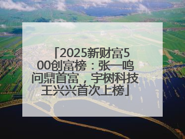2025新财富500创富榜：张一鸣问鼎首富，宇树科技王兴兴首次上榜