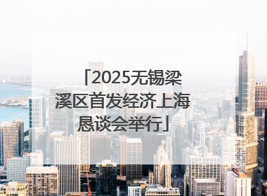 2025无锡梁溪区首发经济上海恳谈会举行