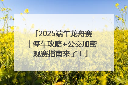 2025端午龙舟赛｜停车攻略+公交加密 观赛指南来了！
