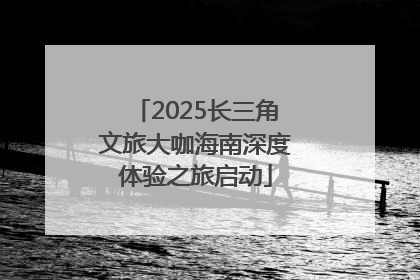 2025长三角文旅大咖海南深度体验之旅启动