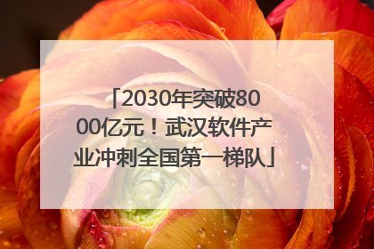 2030年突破8000亿元！武汉软件产业冲刺全国第一梯队