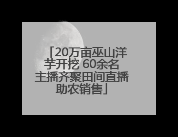 20万亩巫山洋芋开挖 60余名主播齐聚田间直播助农销售