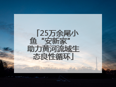 25万余尾小鱼“安新家” 助力黄河流域生态良性循环