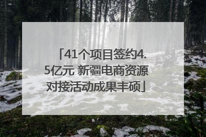 41个项目签约4.5亿元 新疆电商资源对接活动成果丰硕