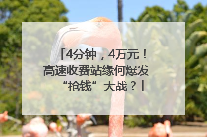 4分钟，4万元！高速收费站缘何爆发“抢钱”大战？