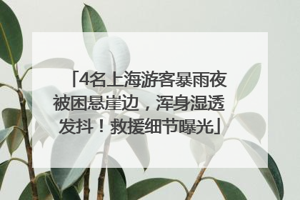4名上海游客暴雨夜被困悬崖边，浑身湿透发抖！救援细节曝光