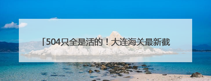 504只全是活的！大连海关最新截获！有攻击性和毒性，属于外来物种