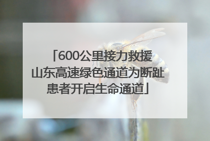 600公里接力救援 山东高速绿色通道为断趾患者开启生命通道