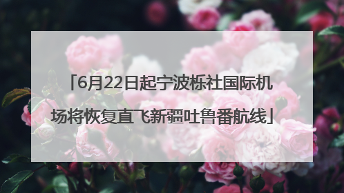 6月22日起宁波栎社国际机场将恢复直飞新疆吐鲁番航线