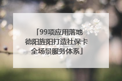 99项应用落地 德阳旌阳打造社保卡全场景服务体系