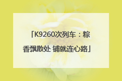 K9260次列车：粽香飘散处 铺就连心路